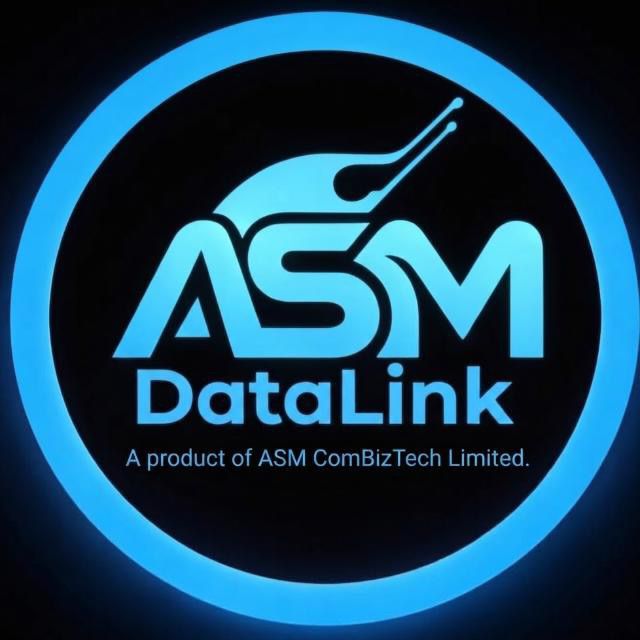 ASM DataLink Logo